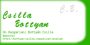 csilla bottyan business card